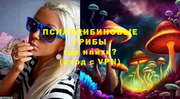 синтетический гашиш Алексеевка