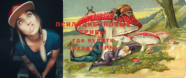 прущие грибы Алзамай