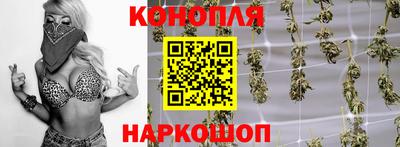 a pvp Пугачёв