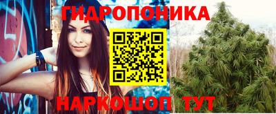 a pvp Пугачёв