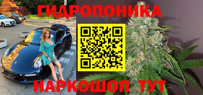 a pvp Пугачёв
